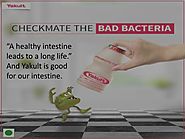 PPT - Yakult - Probiotic Drink for your Healthy Intestine PowerPoint Presentation - ID:7808405
