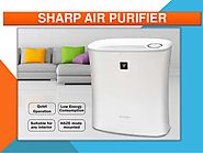 Sharp Air Purifiers Price-Vestige Sharp Air Purifier