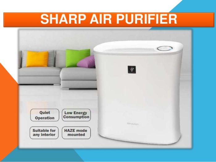price of vestige air purifier