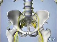 Sacroiliac Joint Pain Treatment | SI Joint Left Hips Forward Treatment | SI Joint Hips Symptoms Condition with Video