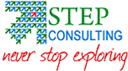 Step consulting