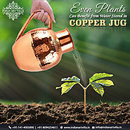 Even Plants can Benefit from Water Stored in Copper Jug