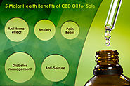 Benefits Of CBD Oil That You Need To Know