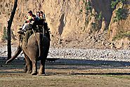 Jim Corbett National Park Safaris