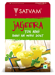 Satvam Jaljeera Masala | Satvam Nutrifoods Ltd.