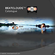 Beatclouds N95 Pm 2.5 Anti Pollution Face Mask Catalogue