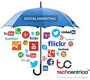Digital Marketing Company Noida