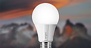 Best Smart LED Light Bulbs Under $20