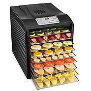 What is the best upgrade option for your food dehydrator?