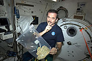 Czy astronauta palił trawę na orbicie, czyli jak rozpracować fake newsa – Crazy Nauka