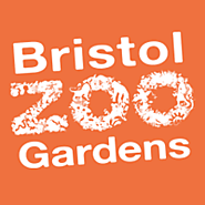 Bristol Zoo - Home