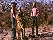 Christian the Lion - 2nd and Final Reunion!