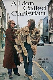 Christian the Lion - Home | Facebook