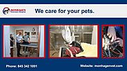 Affordable Pet Vet Middletown, NY