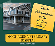 Best Veterinary Hospital in Middletown, NY