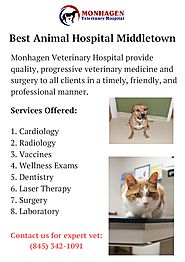 Best Animal Hospital Middletown