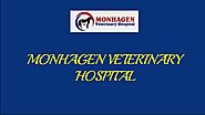 Monhagen Veterinary Hospital | Middletown Vet