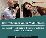 Advanced Veterinary Care | Monhagen Veterinary hospital