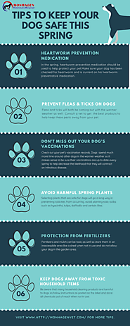 Tips To Keep Dogs Safe This Spring | Monhagen Veterinary Hospital