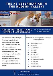 High-Quality Veterinary Care | Monhagen Veterinary Hospital