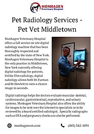 Pet Radiology Services - Monhagen Animal Hospital Middletown