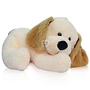 Order Cute Sleeping Dog Online Same Day Delivery - OyeGifts.com