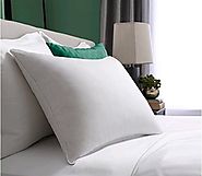Buy Bouncy Pillow and Zero Gravity Pillow Online