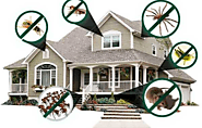6 Best Ways to Pest Proof Your Home without any Cost