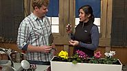 The Essential Gardening Tools for Beginners