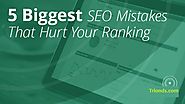 5 SEO Mistakes You Might be Making! - Trionds