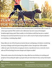 Custom Dog Collars - Personalization for Your Pet