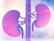 Kidney Stone Treatment | Chronic Kidney Disease