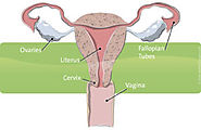Da Vinci Surgery | Treatment for Gynecologic Conditions