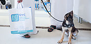 Pet health care plans in Abu Dhabi - Best pet care center | germanvet.ae
