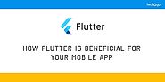 How Flutter is Beneficial for Your Mobile App | Techugo