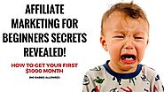 Affiliate Marketing For Beginners Secrets REVEALED How I Got My First 1000 Month