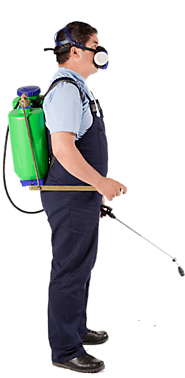 Carpet Steam Cleaning Brisbane