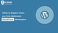 What to expect when you hire dedicated WordPress developers - Techno Infonet