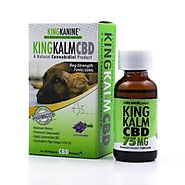 CBD Oil for Pets, Have You Ever Tried CBD for Dogs?