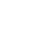Essay Writers