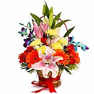 Buy/Send Vivid Designer Floral Basket - YuvaFlowers