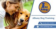 Albany Dog Training by All Dawgs