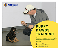 Puppy Dawgs Training by All Dawgs