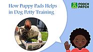 How Puppy Pads Helps in Dog Potty Training
