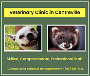 DeepWood Veterinary Clinic in Centreville