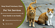 Best Pet Services in Centreville VA