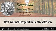 Best Animal Hospital In Centreville VA