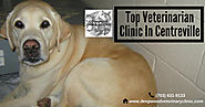 Top Veterinarian Clinic In Centreville
