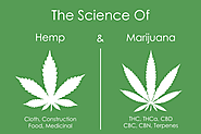 Interesting facts regarding Marijuana and Hemp