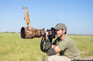 Meerkats Using Photographer to Get a Better View, How cute is that?